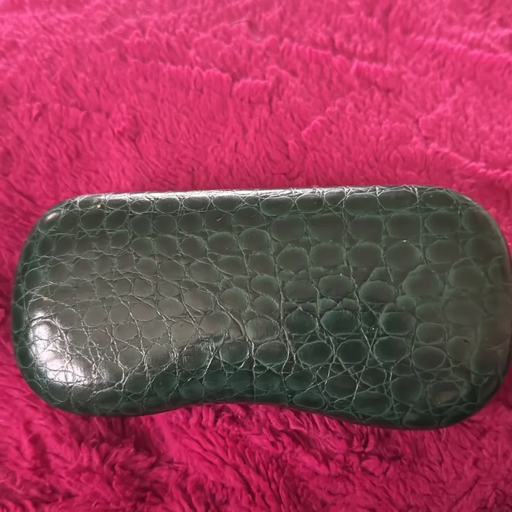Fabulous Ray-ban sunglasses with green case!